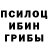 Галлюциногенные грибы Magic Shrooms Max BAlekhov