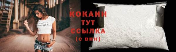 крисы Аркадак